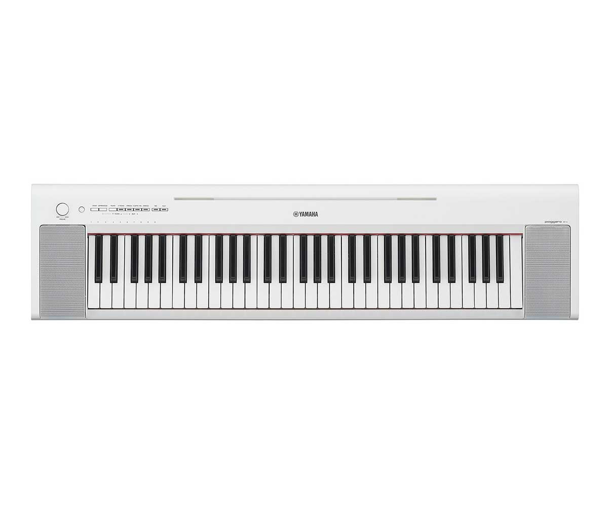 Yamaha piaggero NP-15WH image 0