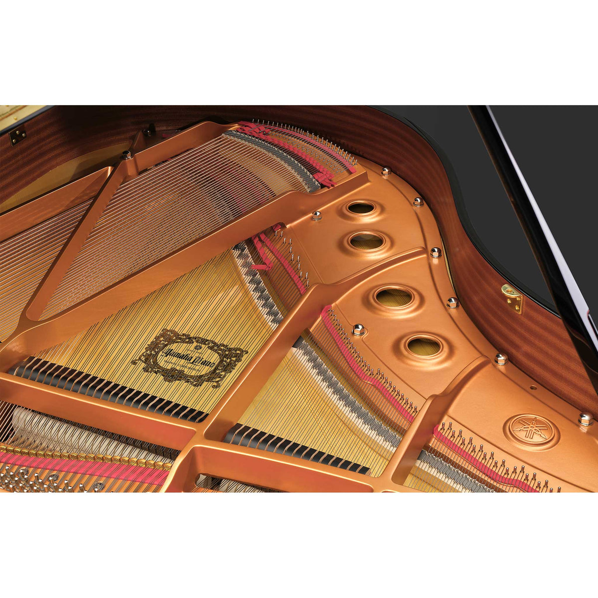 Yamaha Flügel GCB Detail Saiten und Rahmen