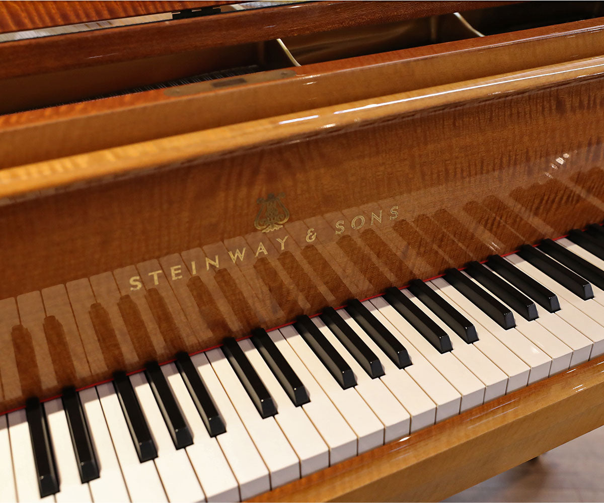 Steinway & Sons Flügel Tastenklappe und Tasten detail