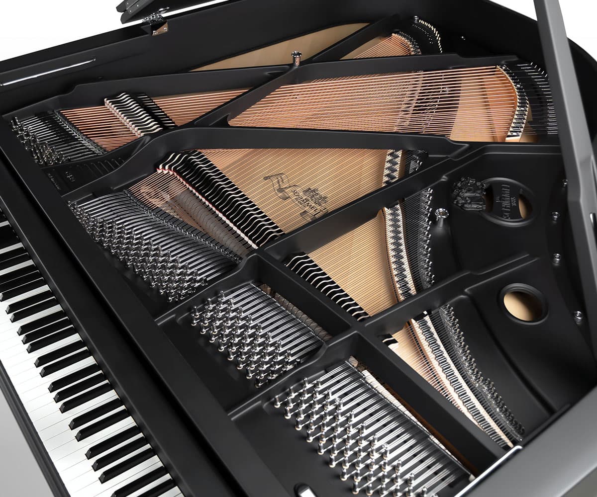 Schimmel Flügel C169 BlackPearl image 0