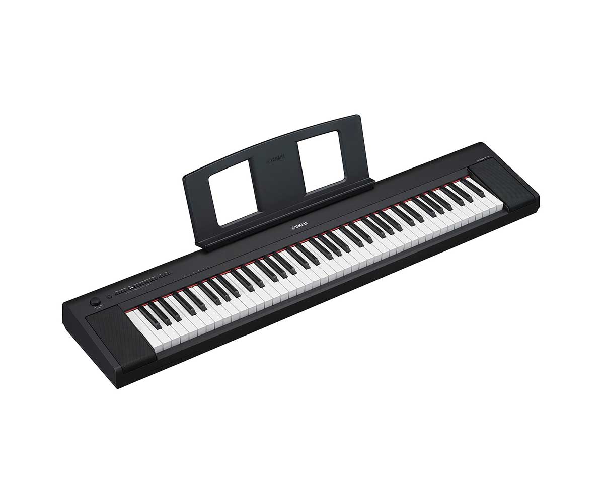 Yamaha piaggero NP-35B image 0