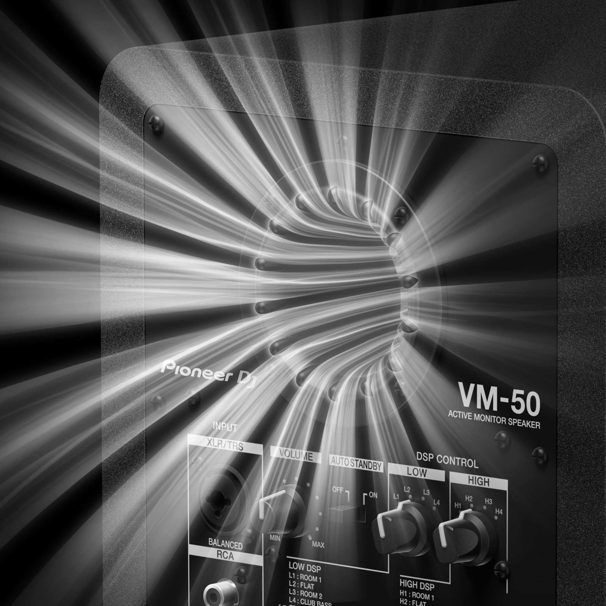 Pioneer VM-70 Monitor Lautsprecher