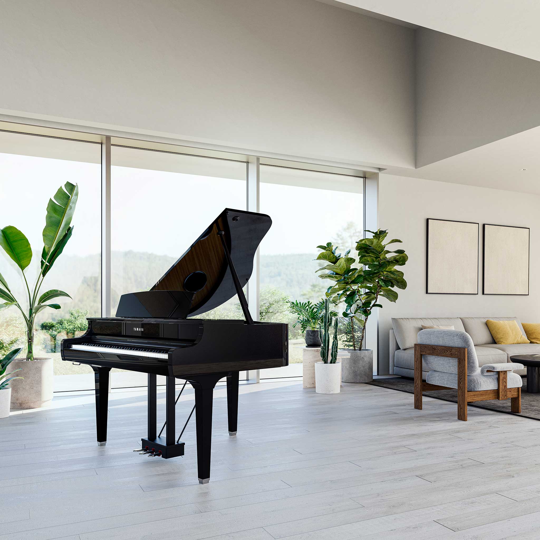 CLP895 Grand Piano Living room