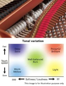 Schema Yamaha Grand Expression Modelling