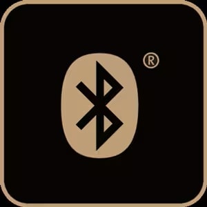 Bluetooth Icon