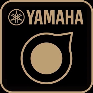 Rec 'n' Share Icon Yamaha